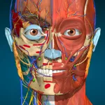 خرید اکانت پرمیوم Anatomy Learning