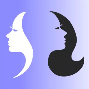 خرید اکانت پرمیوم Facecopy
