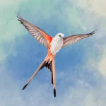 خرید اکانت پرمیوم Wingspan